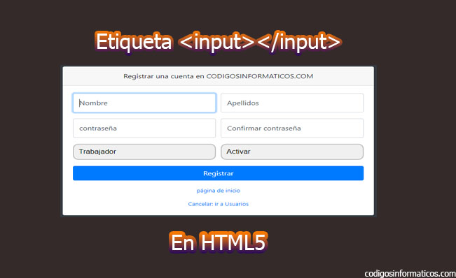etiqueta input ern html