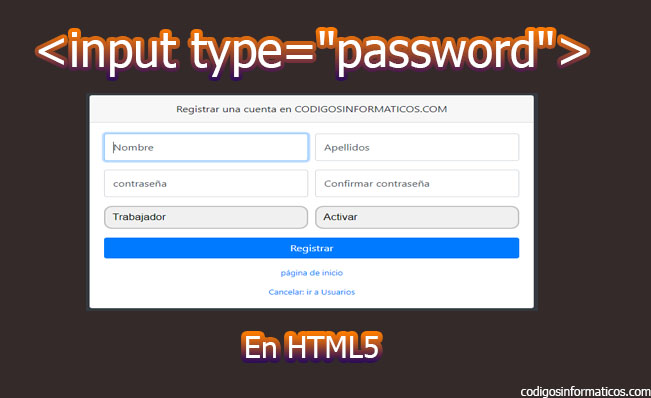 input type password