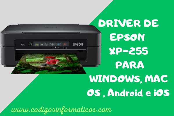 Descargar Driver Epson XP-255
