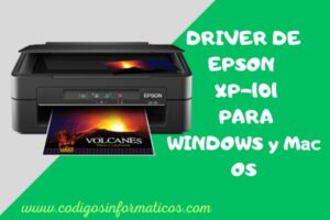 driver epson xp 101