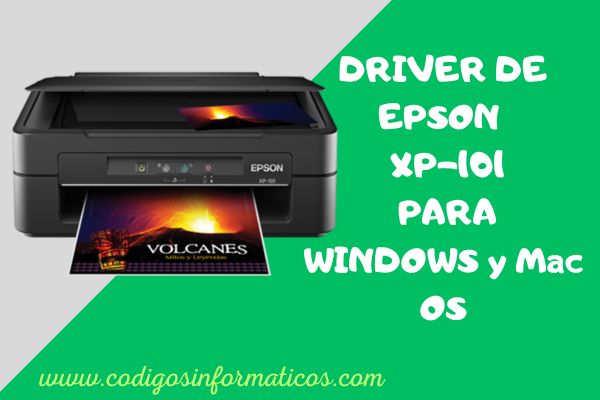 driver epson xp 101