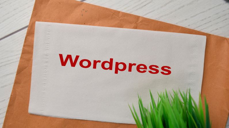 optimizar wordpress para moviles