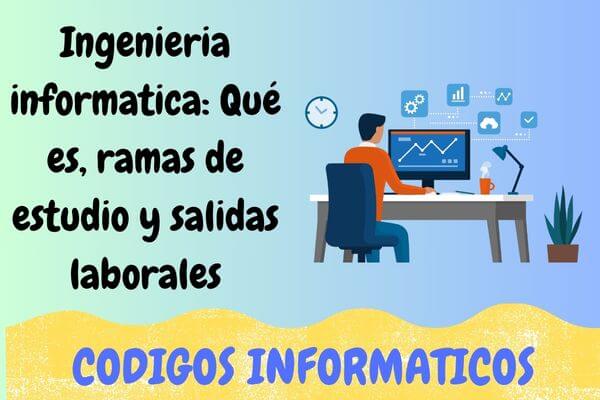 ingenieria informatica
